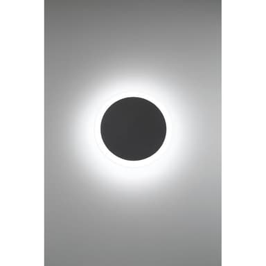 79-BEL-3109345