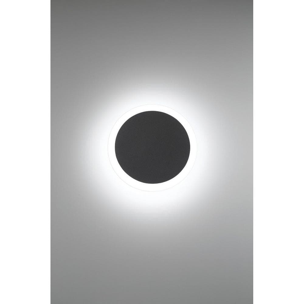 79-BEL-3109345