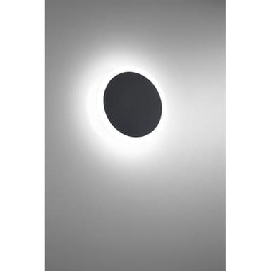 79-BEL-3109345
