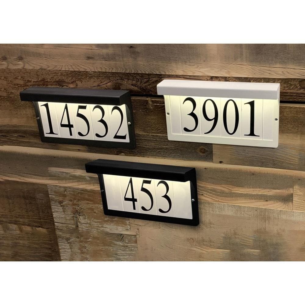 53618WT