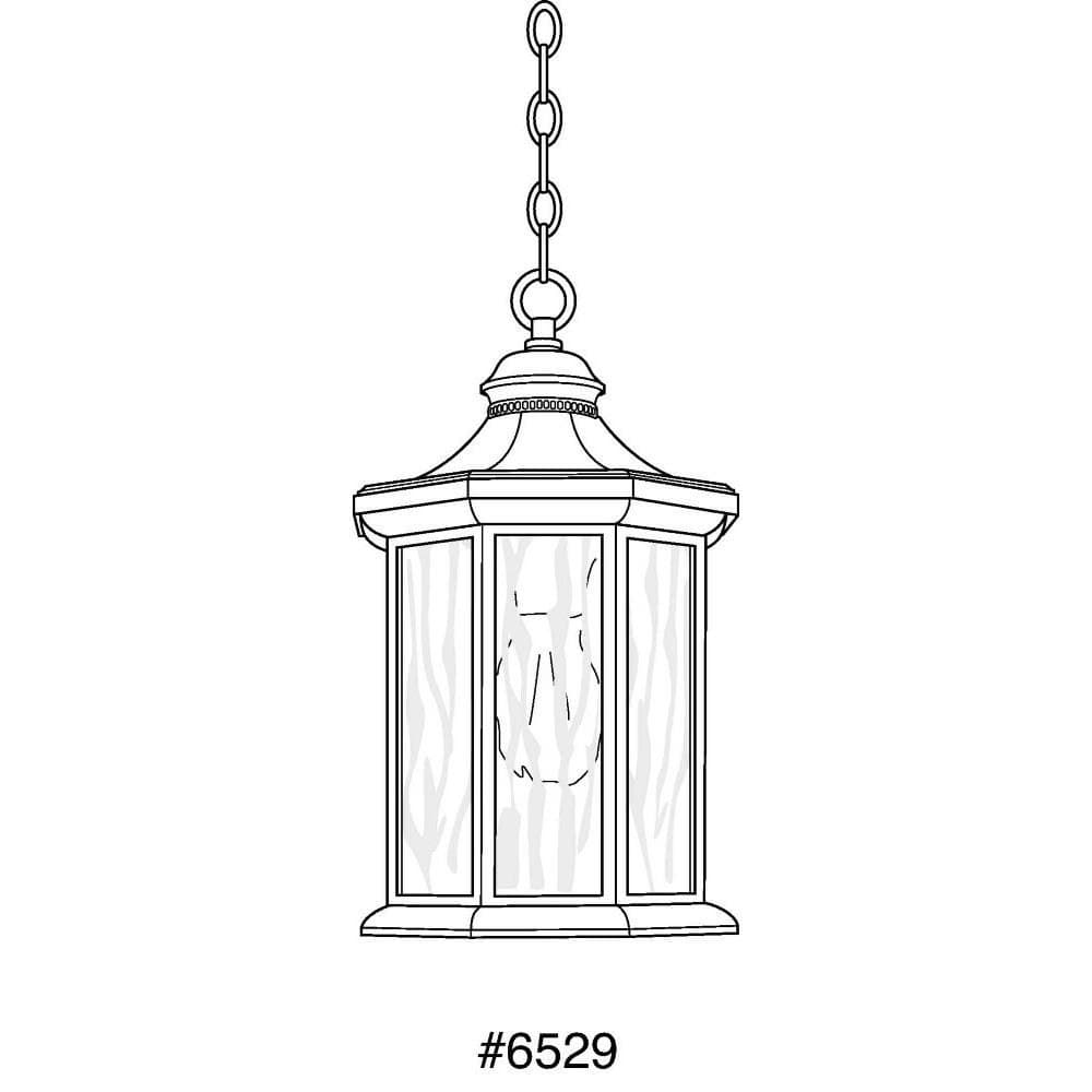 P6529-20